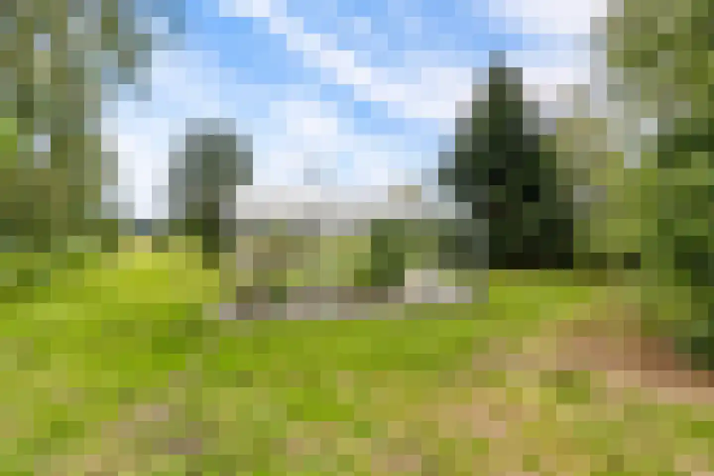 Bovenheigraaf 144 Wezep thumbnail 86