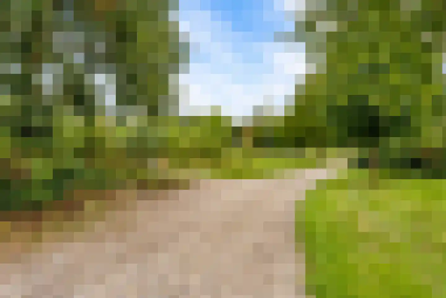 Bovenheigraaf 144 Wezep thumbnail 90