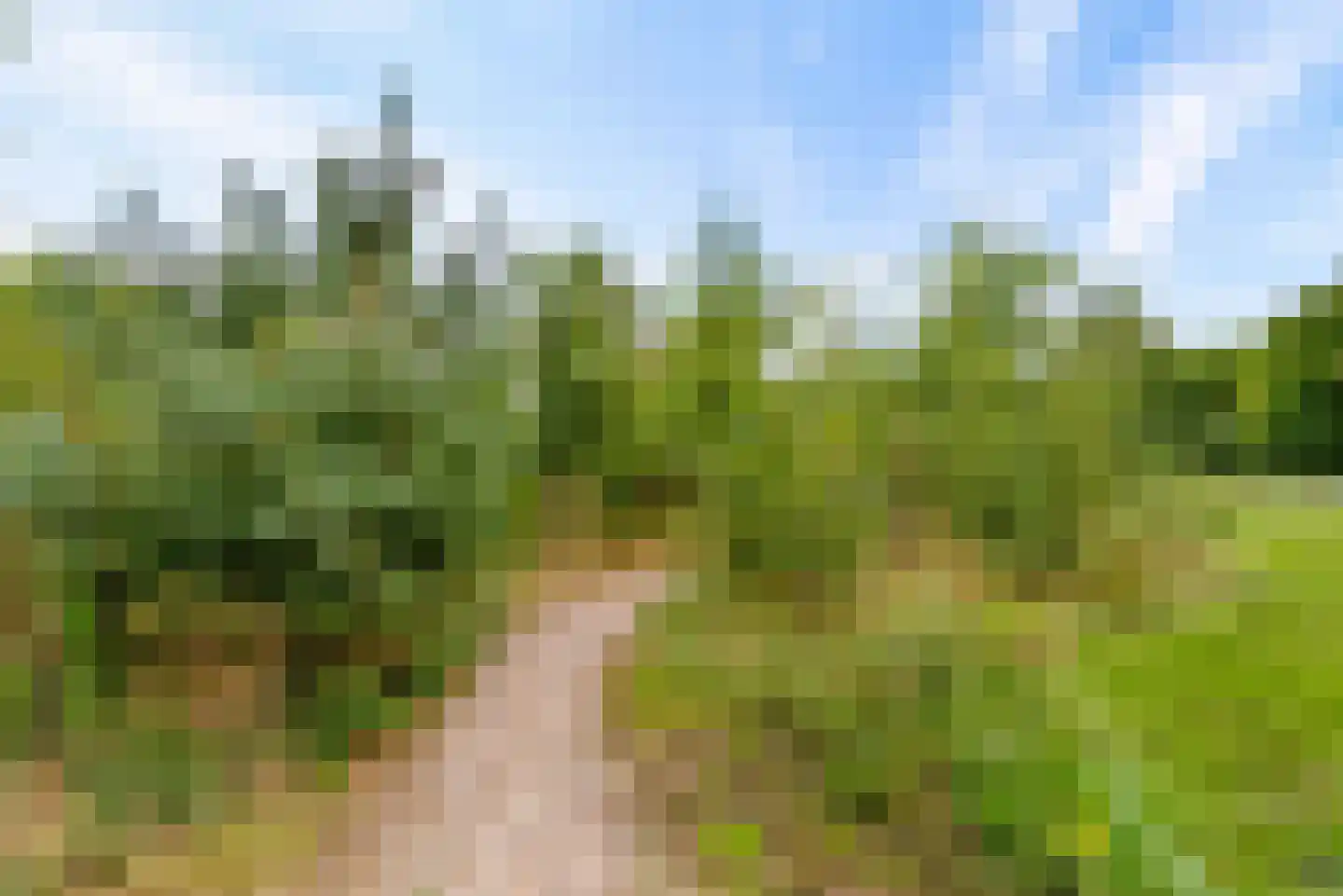 Bovenheigraaf 144 Wezep thumbnail 91
