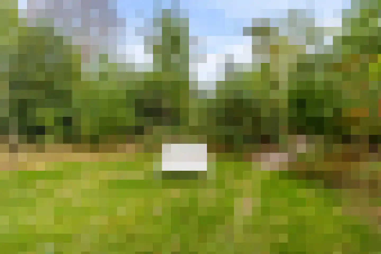 Bovenheigraaf 144 Wezep thumbnail 92
