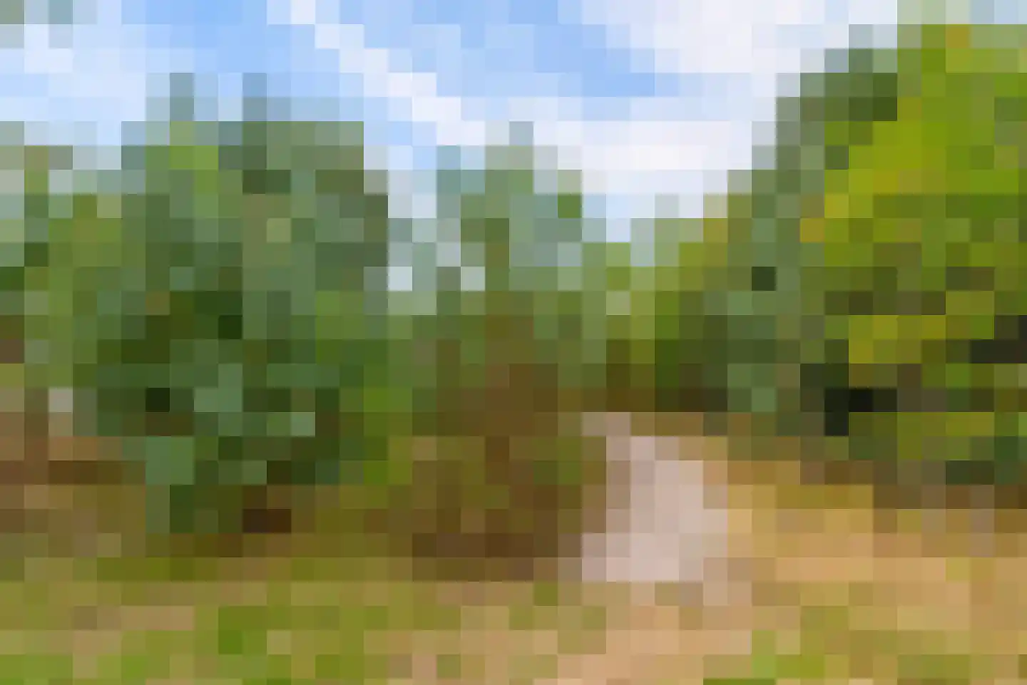 Bovenheigraaf 144 Wezep thumbnail 93