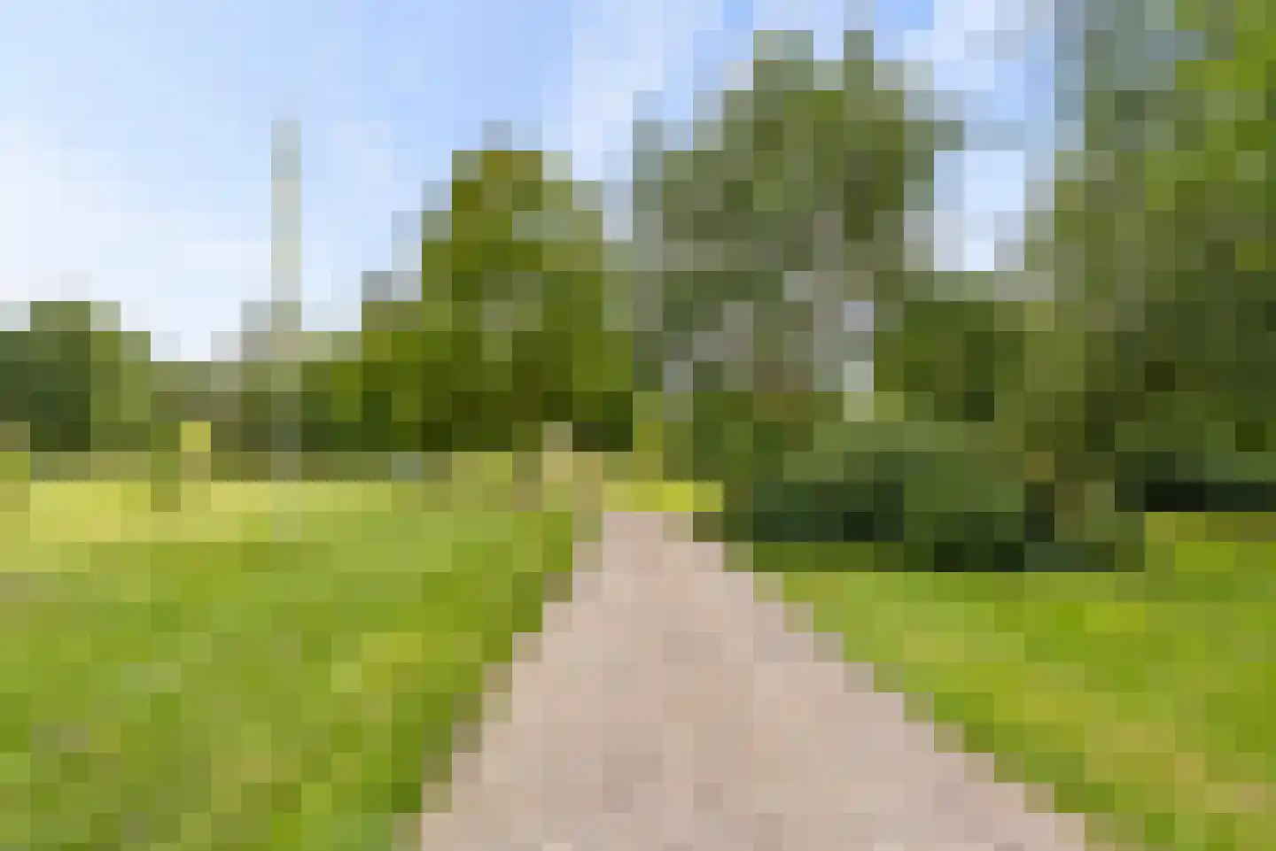 Bovenheigraaf 144 Wezep thumbnail 94