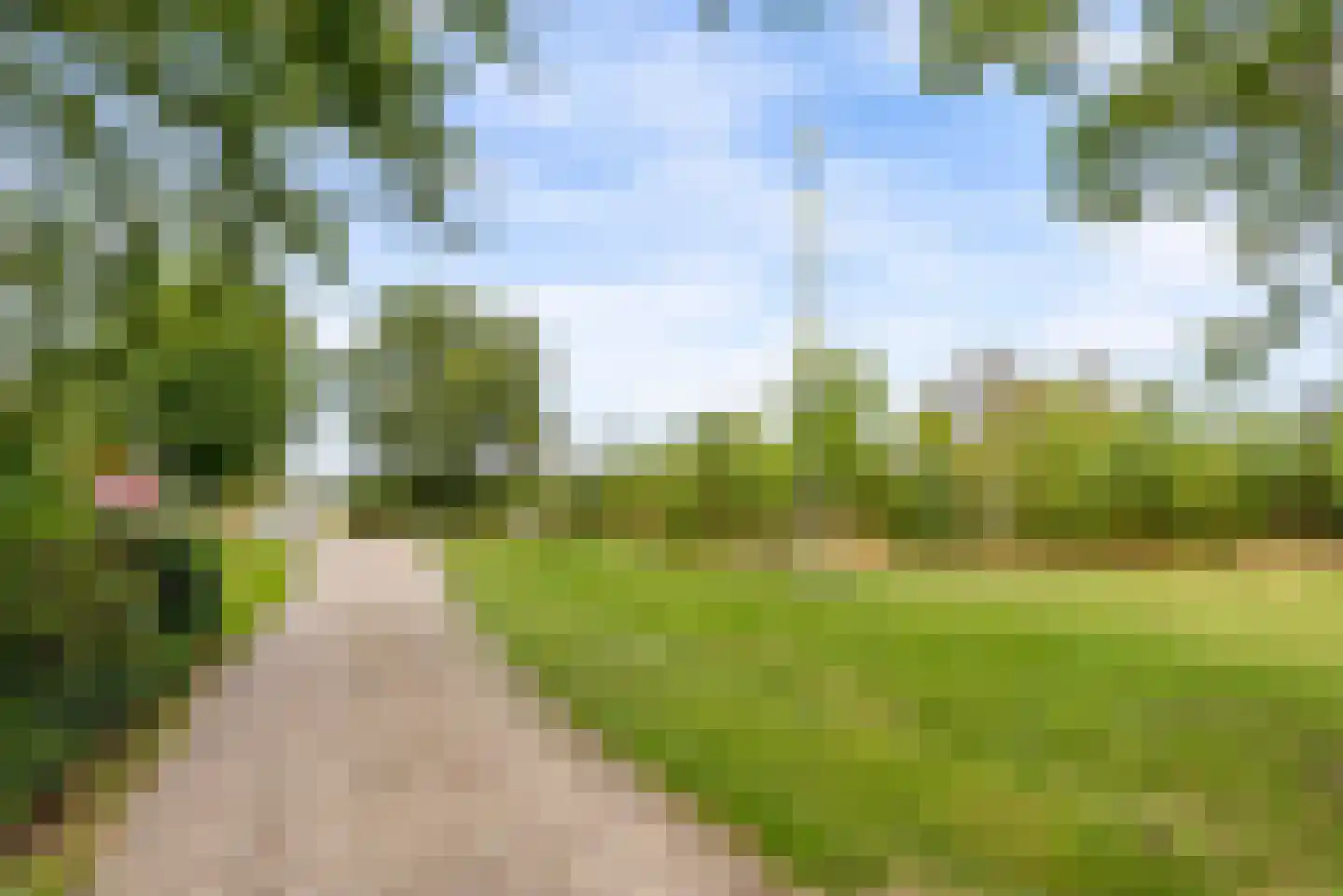 Bovenheigraaf 144 Wezep thumbnail 95