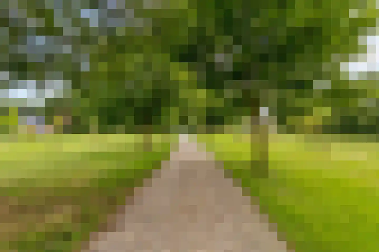 Bovenheigraaf 144 Wezep thumbnail 96