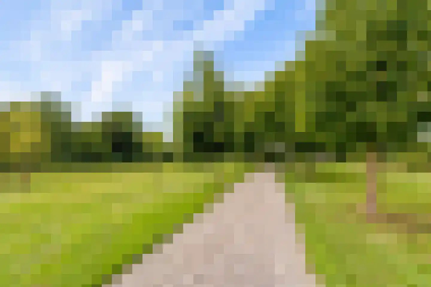 Bovenheigraaf 144 Wezep thumbnail 97