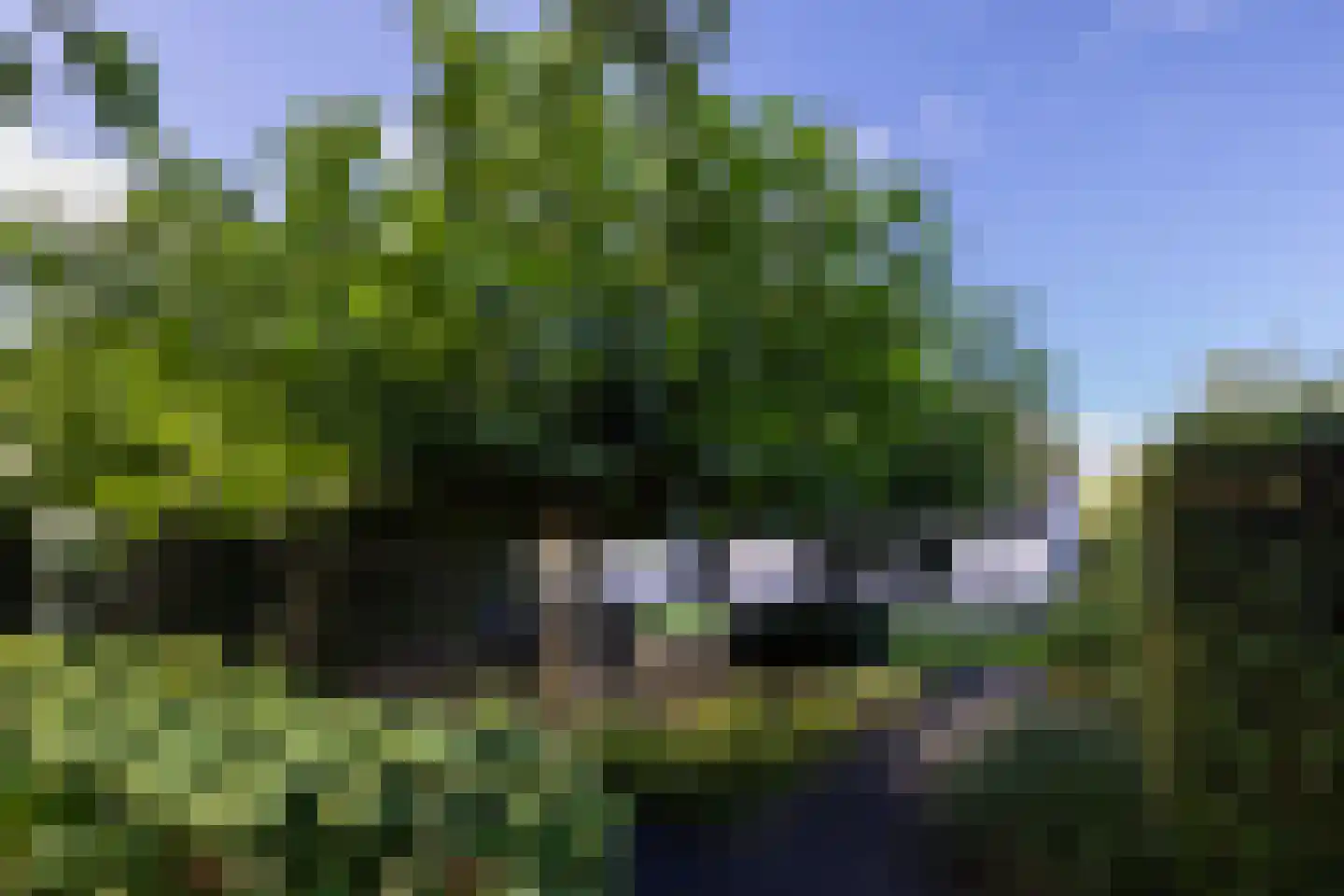 Bovenheigraaf 26 A Oldebroek thumbnail 65