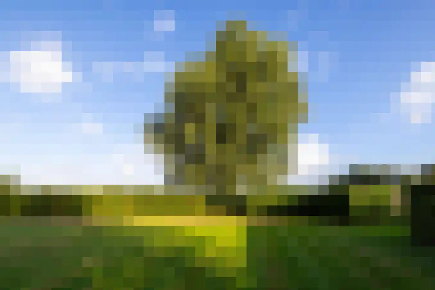 Bovenheigraaf 26 A Oldebroek thumbnail 69