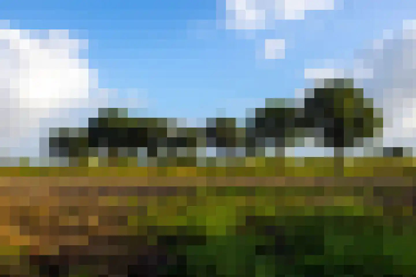 Bovenheigraaf 26 A Oldebroek thumbnail 72