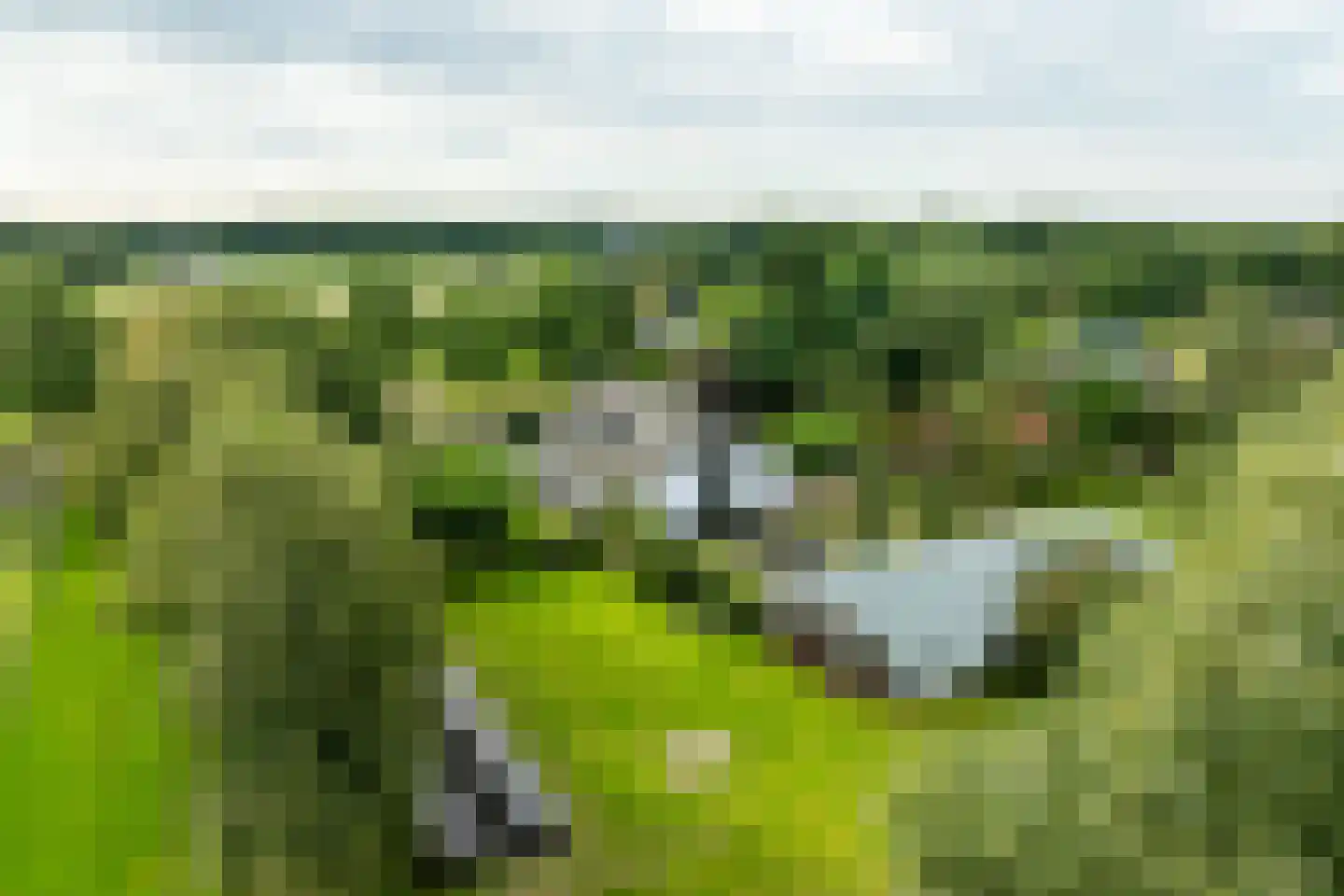 Bovenheigraaf 26 A Oldebroek thumbnail 88