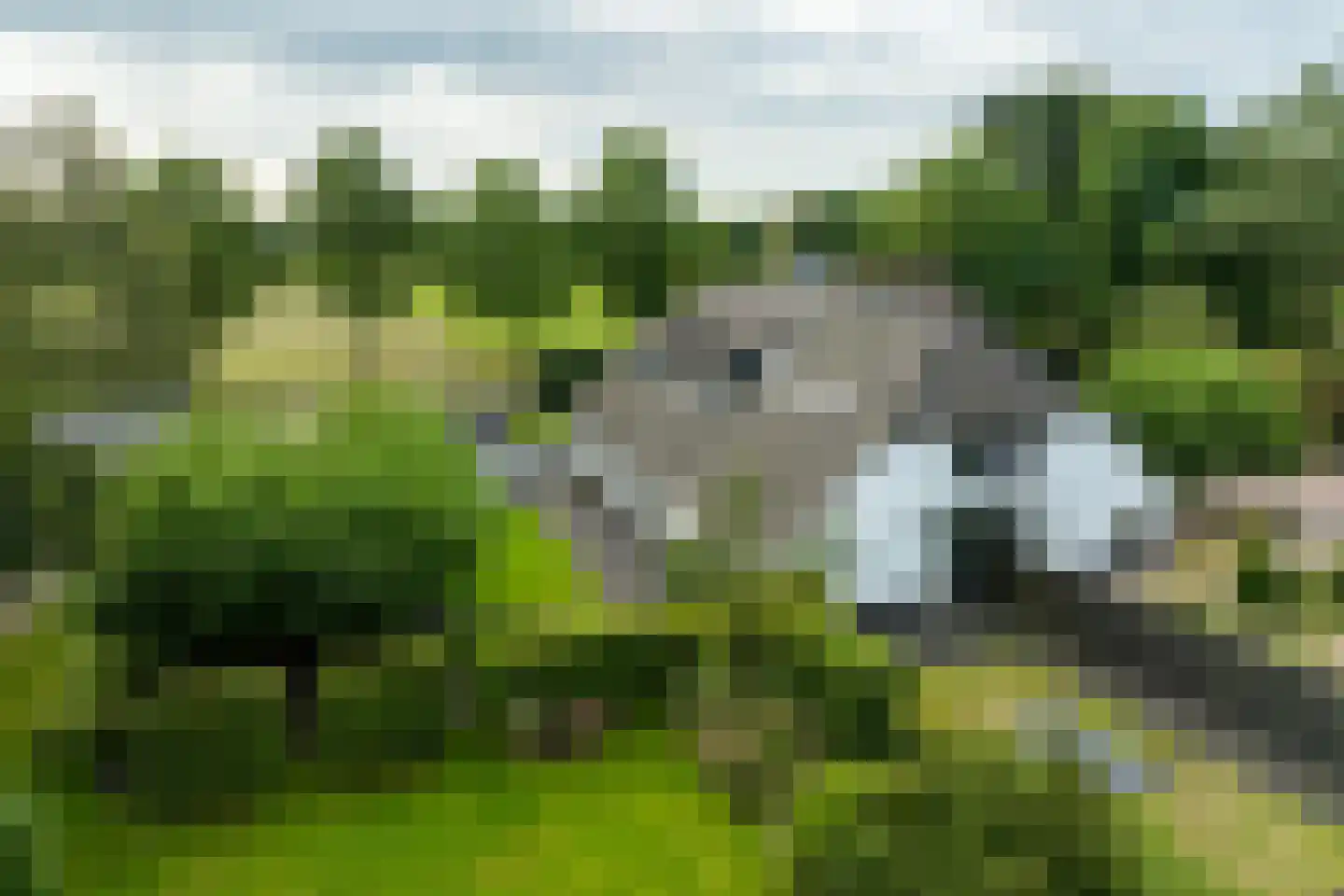 Bovenheigraaf 26 A Oldebroek thumbnail 89