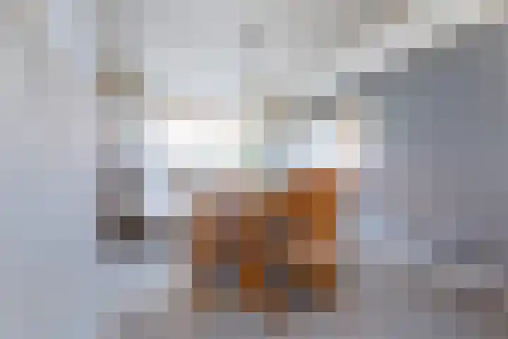 Bovenheigraaf 86 't Loo Oldebroek thumbnail 12
