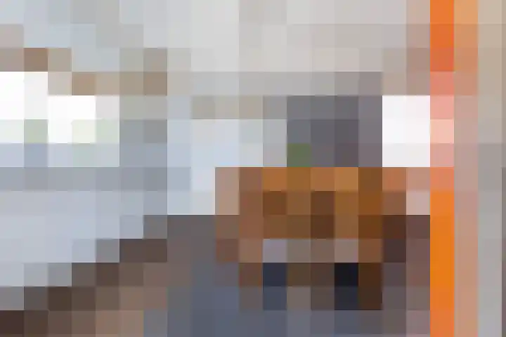 Bovenheigraaf 86 't Loo Oldebroek thumbnail 14