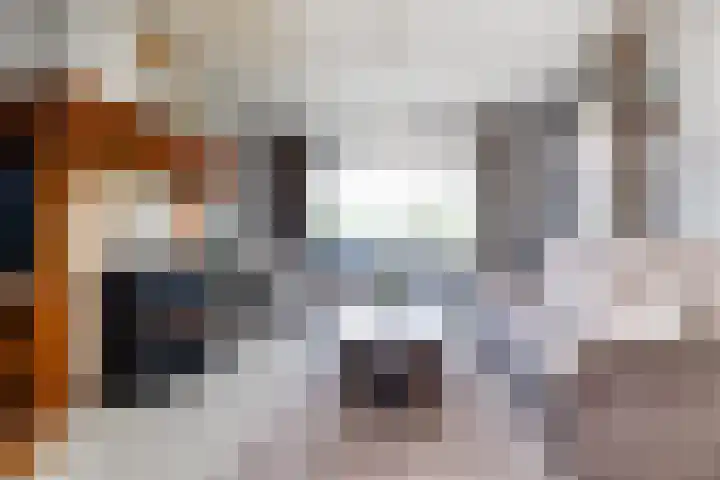 Bovenheigraaf 86 't Loo Oldebroek thumbnail 16