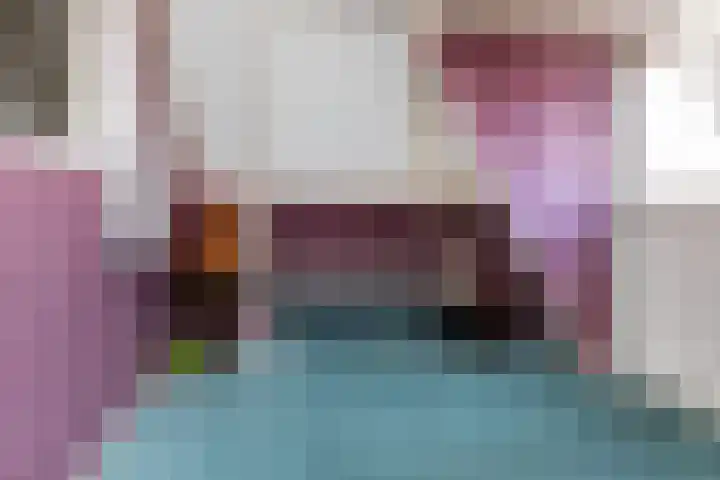 Bovenheigraaf 86 't Loo Oldebroek thumbnail 25