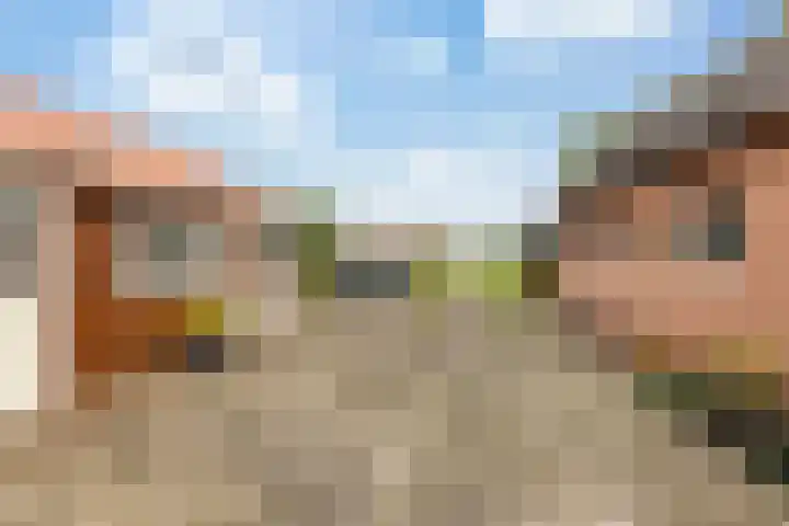 Bovenheigraaf 86 't Loo Oldebroek thumbnail 31