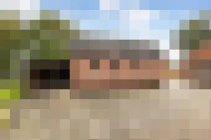 Bovenheigraaf 86 't Loo Oldebroek thumbnail 36