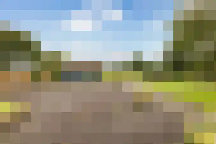Bovenheigraaf 86 't Loo Oldebroek thumbnail 4