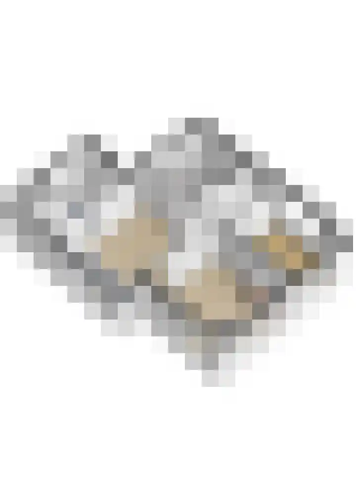 Bovenheigraaf 86 't Loo Oldebroek thumbnail 41
