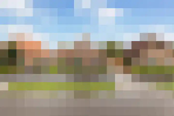 Bovenheigraaf 86 't Loo Oldebroek thumbnail 5