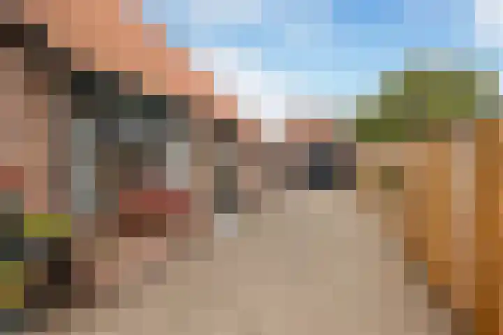 Bovenheigraaf 86 't Loo Oldebroek thumbnail 6