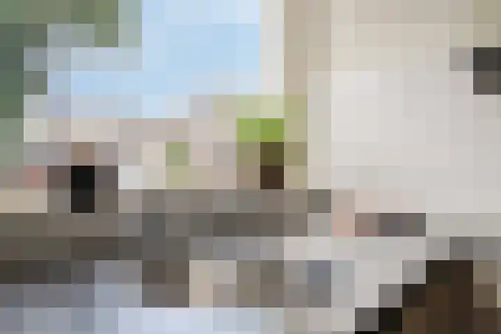 Bovenhof 13 Den Dungen thumbnail 11