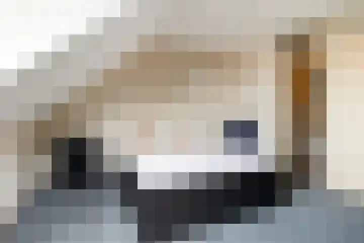 Bovenhof 13 Den Dungen thumbnail 17