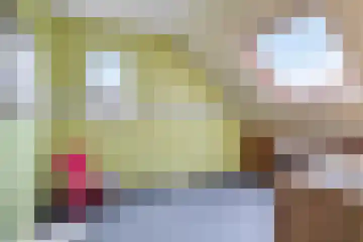 Bovenhof 13 Den Dungen thumbnail 24