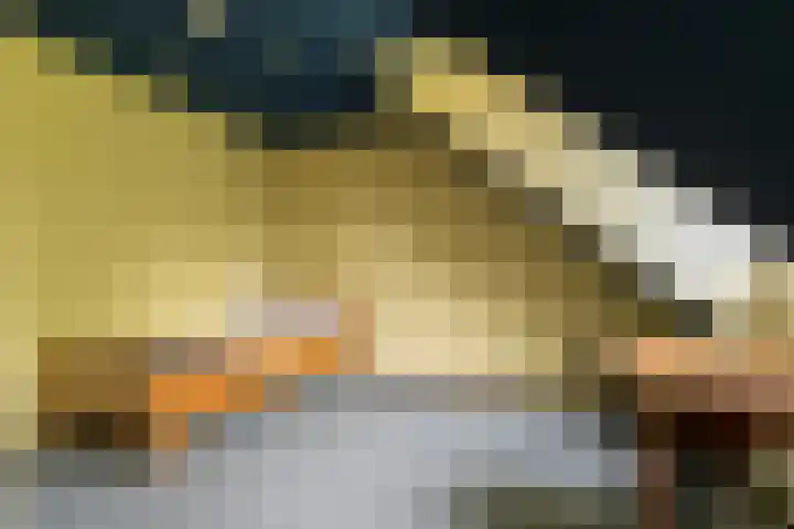 Bovenhof 13 Den Dungen thumbnail 26