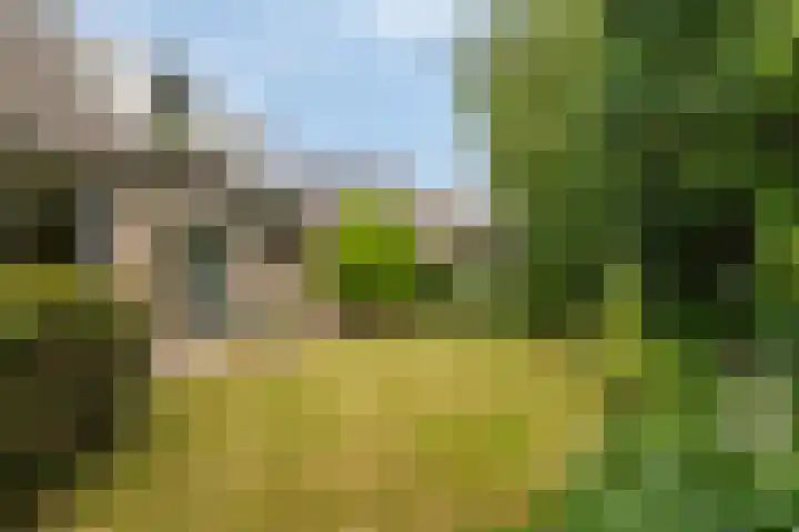 Bovenhof 13 Den Dungen thumbnail 30