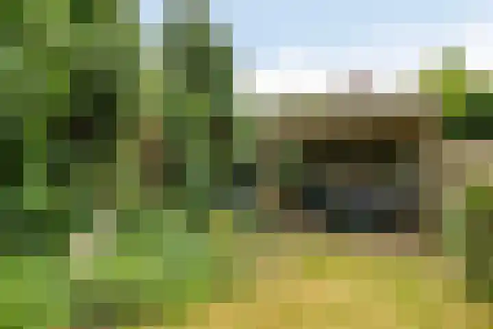 Bovenhof 13 Den Dungen thumbnail 32