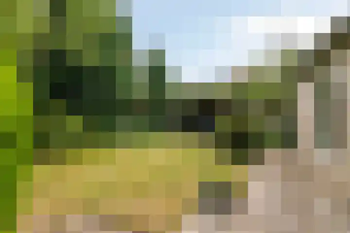 Bovenhof 13 Den Dungen thumbnail 34