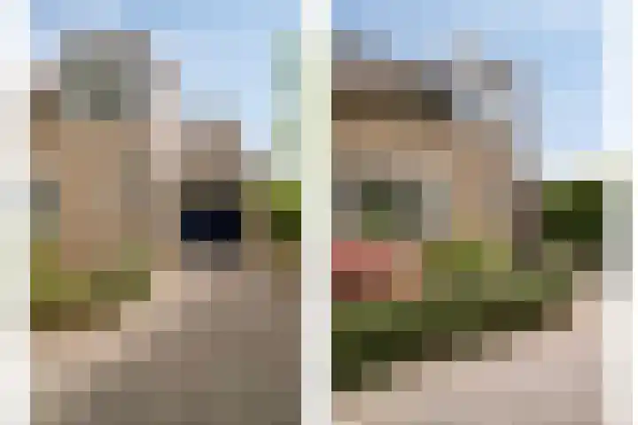 Bovenhof 13 Den Dungen thumbnail 35