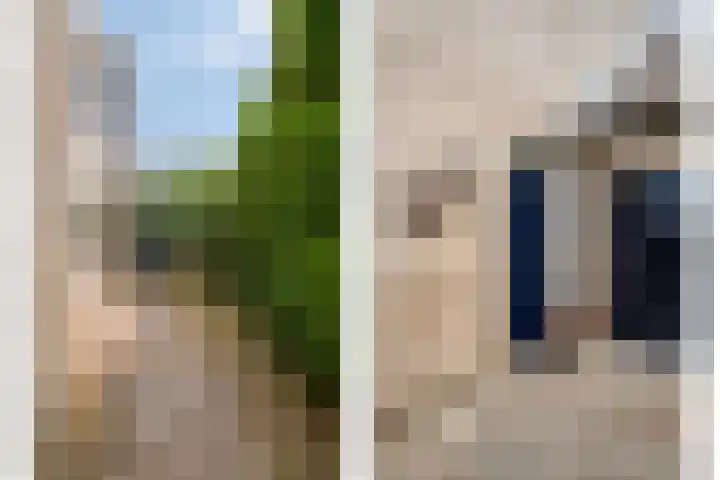 Bovenhof 13 Den Dungen thumbnail 36