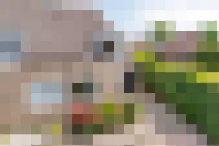 Bovenhof 13 Den Dungen thumbnail 38