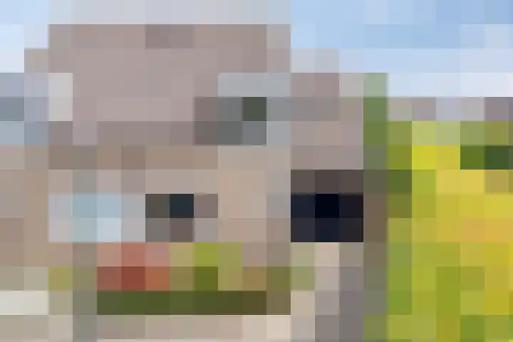 Bovenhof 13 Den Dungen thumbnail 39