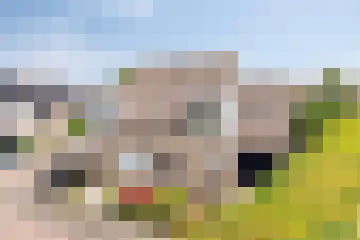Bovenhof 13 Den Dungen thumbnail 40