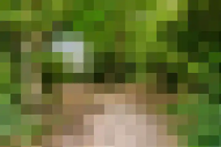 Bovenhof 13 Den Dungen thumbnail 43