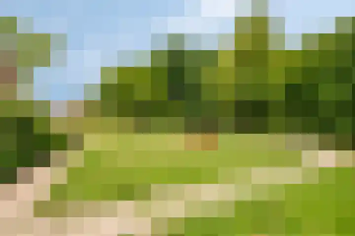 Bovenhof 13 Den Dungen thumbnail 44