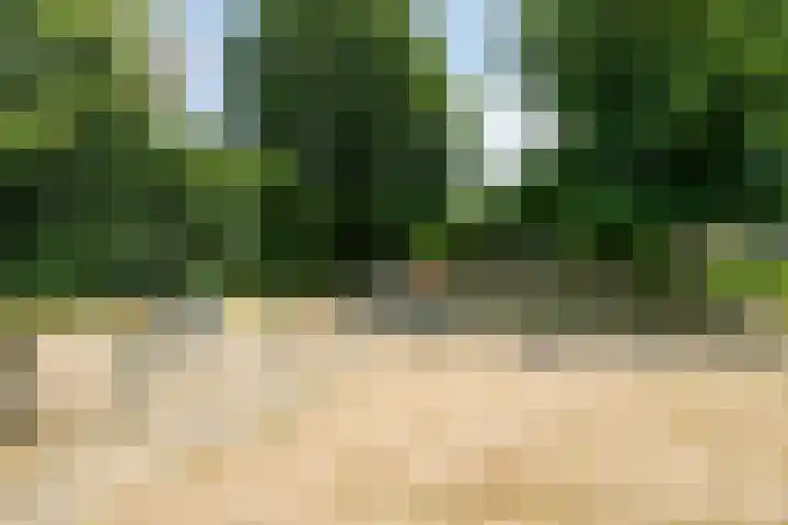 Bovenhof 13 Den Dungen thumbnail 46