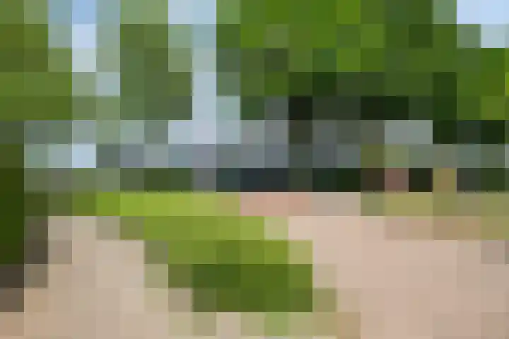 Bovenhof 13 Den Dungen thumbnail 47