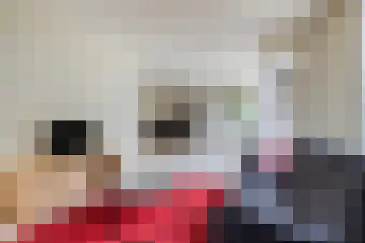 Bovenhof 13 Den Dungen thumbnail 5