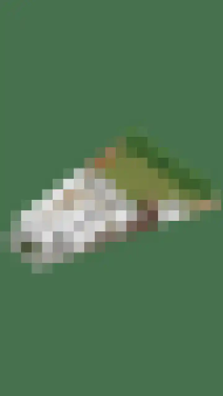 Bovenhof 13 Den Dungen thumbnail 56