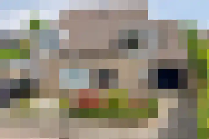 Bovenhof 13 Den Dungen thumbnail 58