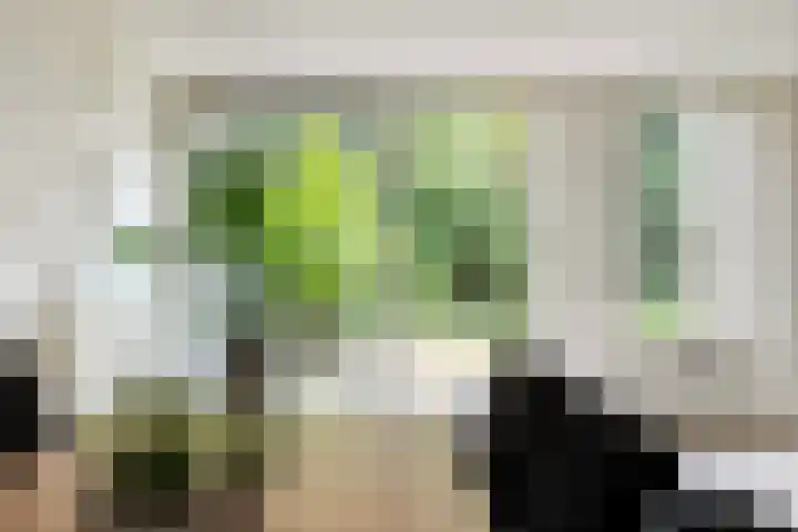 Bovenhof 13 Den Dungen thumbnail 7