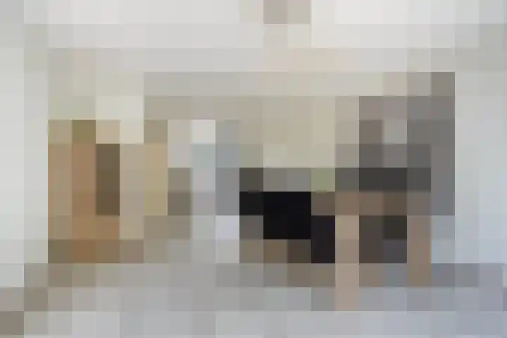 Bovenhof 13 Den Dungen thumbnail 8