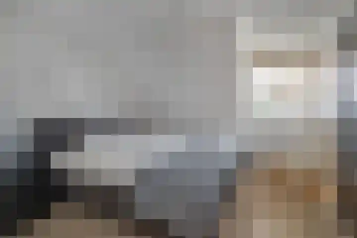 Bovenhof 3 Den Dungen thumbnail 12