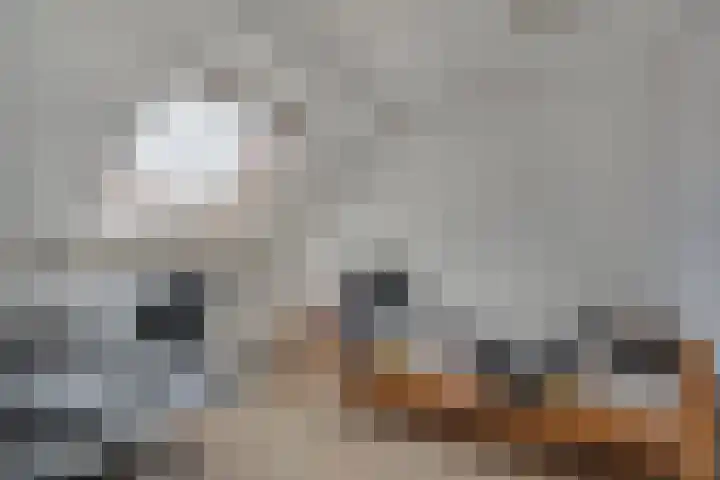 Bovenhof 3 Den Dungen thumbnail 15