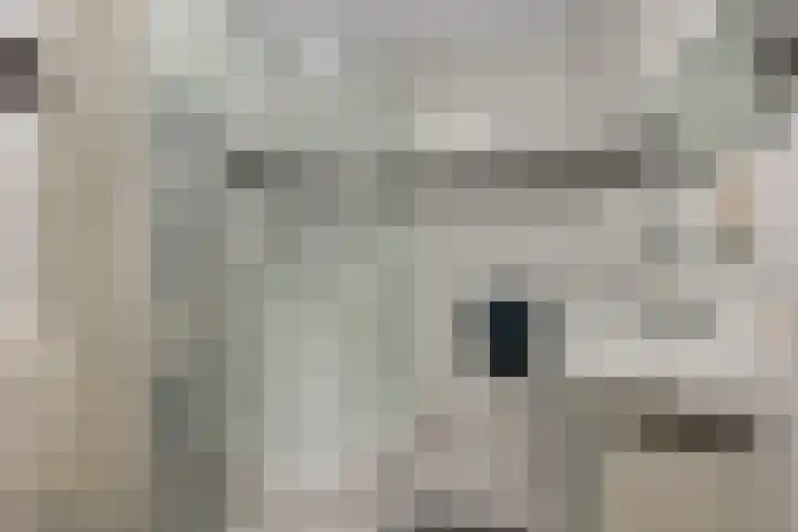 Bovenhof 3 Den Dungen thumbnail 17