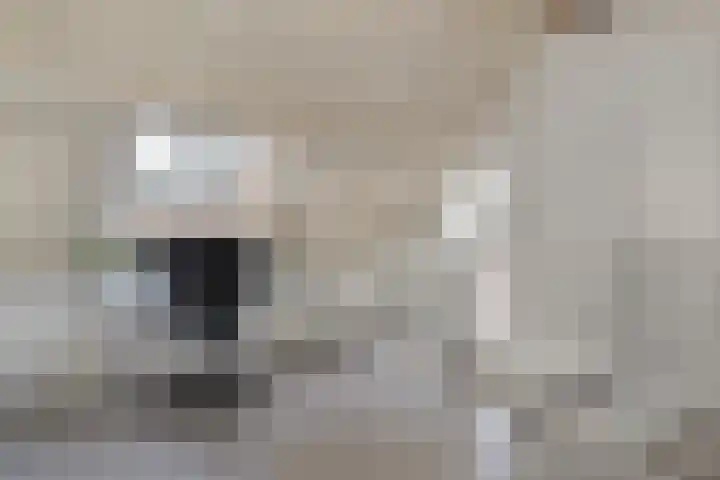 Bovenhof 3 Den Dungen thumbnail 18