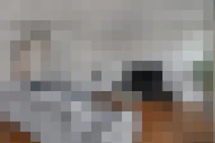 Bovenhof 3 Den Dungen thumbnail 4